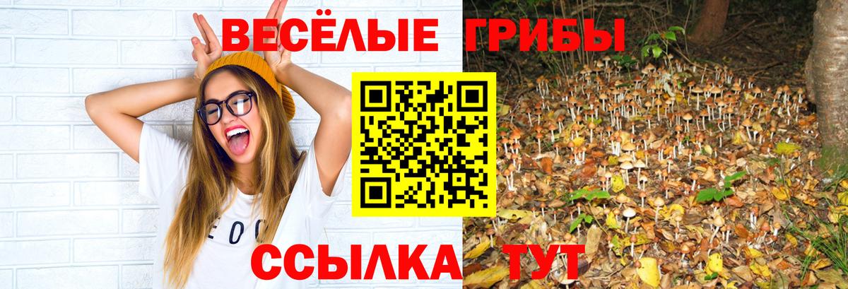 Псилоцибиновые грибы Magic Shrooms  где найти   Петрозаводск  Вход с VPN 